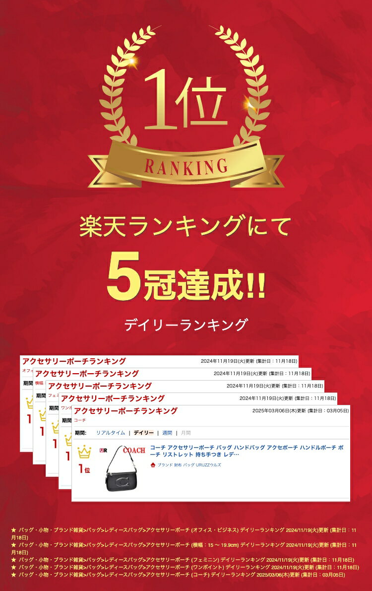 コーチ アクセサリーポーチ バッグ ハンドバッグ アクセポーチ ハンドルポーチ ポ...