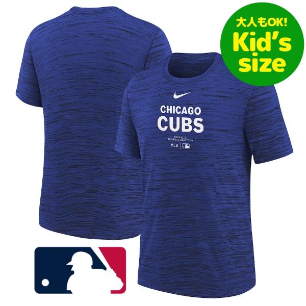 y+N[|zylOKLbYTCYz MLBItBV nike iCL LbYpTVc qpgbvX ؐ i VJSEJuX Chicago Cubs Authentic Collection T-Shirt