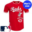 【送料無料】 Pro Standard プロスタンダード MLBオフィシャル メジャーリーグ公式 メンズ Tシャツ 半袖トップス シンシナティ・レッズ CINCINNATI REDS RETRO CLASSIC TOP T-SHIRT