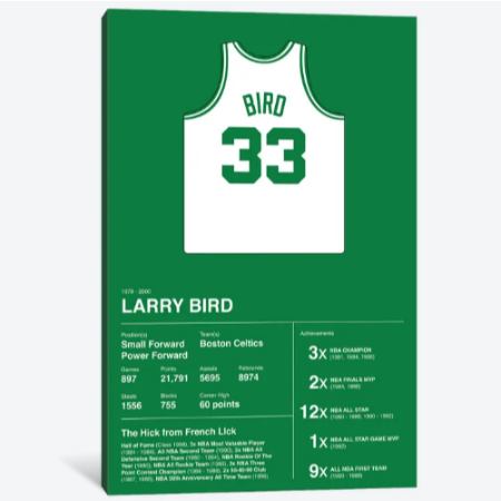  お洒落なオマージュアート Larry Bird Career Stats ラリー・バード Larry Bird NBA キャンバスアート 絵画 インテリア 模様替え 引越し祝い 新築祝い