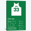 【送料無料】 お洒落なオマージュアート Larry Bird Career Stats ラリー・バード Larry Bird NBA キャンバスアート 絵画 イ...