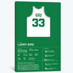 【送料無料+割引クーポン】 お洒落なオマージュアート Larry Bird Career Stats ラリー・バード Larry Bird NBA キャンバスアート 絵画 インテリア 模様替え 引越し祝い 新築祝い