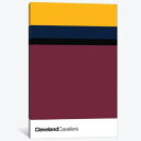 【送料無料】 お洒落なオマージュアート Cleveland Cavaliers クリーブランド・キャバリアーズ NBA キャンバスアート 絵画 インテリア 模様...