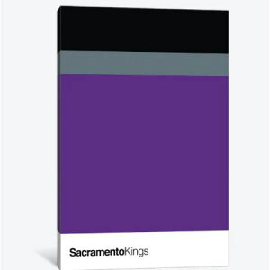 【送料無料】 お洒落なオマージュアート Sacramento Kings サクラメント・キングス NBA キャンバスアート 絵画 インテリア 模様替え 引越し祝い 新築祝い 開店祝い ギフト プレゼント