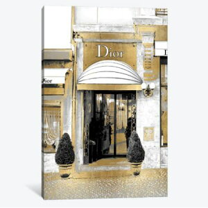 ̵+ݥ ޯʥޡ奢 Designer Entrance VI ǥ Dior Х  ƥꥢ ؤ ۤˤ ۽ˤ Źˤ ե ץ쥼