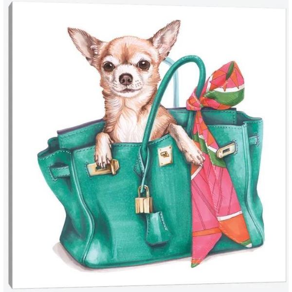 ̵+ݥ ƹȯΤޯʥ֥ɥޡ奢 Chihuahua Jane In Hermes Birkin Bag...