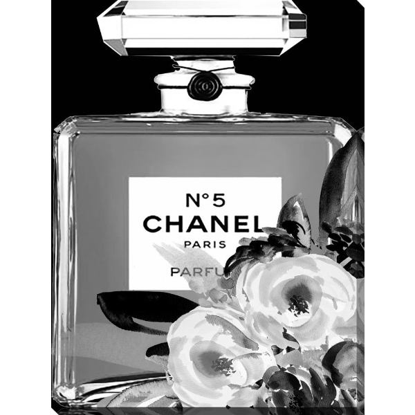 ̵+ݥ ޯʥ֥ɥޡ奢 B & W Cc2 ͥ CHANEL Х  ƥꥢ...