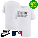 【送料無料】【大人もOK★キッズサイズ】 Nike ナイキ MLB公式 メジャーリーグオフィシャル キッズ用Tシャツ 子供用半袖トップス ユースサイズ ジャッジ...