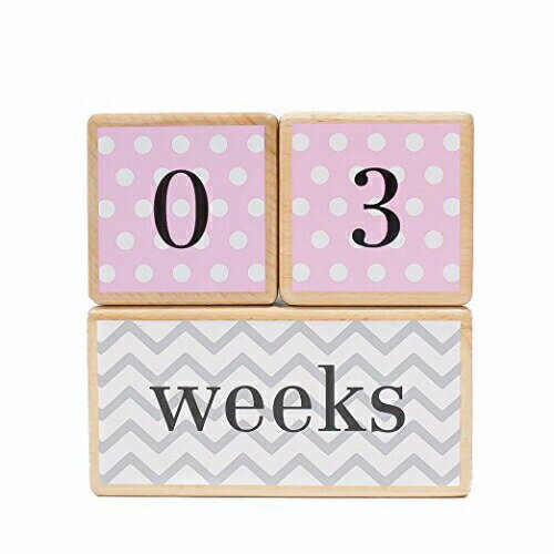 【送料無料】 LovelySprouts ラブリースプラウツ ベビーちゃんの成長が楽しめるラブリーなフォトグラフ用月齢ボックスセットPINK フォト 写真撮影 ...