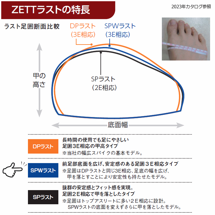 ���åȡ�ZETT�ۥ�� ��� �ȥ졼�˥󥰥��塼�� ��ե����å� 2026ǯ��³MODEL��BSR8017G �ȥ쥷�塼 3�ܥ٥�� �ۥ磻�ȥ��塼�� �򥷥塼�� �磻�� �����ѡۡ�������ã�оݡۡڥ᡼�����Բġ�[�����Ҹ�]