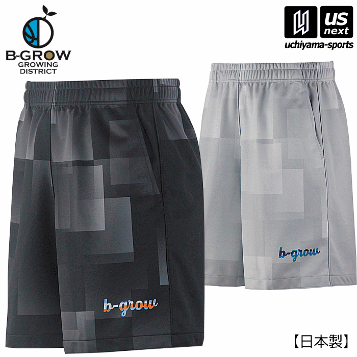 B−GROW/チームファイブ【 Team Five 】 メンズ バスケットボール BBショーツ B−GROW 2024年継続MODEL【 BBDS0107 BBDS0112 バスケットボールパンツ バスパン プラパン 】【翌日配達対象】【メール便不可】[自社倉庫]