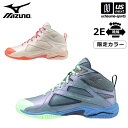ミズノ 【 MIZUNO 】 フィットネスシューズ ウエーブダイバース LG5 Ltd 2025年春夏限定MODEL 【 31GF2575 2025SS リミテ...