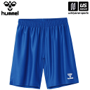 【5/10限定!抽選でポイントバック要エントリー】ヒュンメル 【 hummel 】 HAG5042P プラクティスパンツ (63)ロイヤルブルー 2025年春夏...