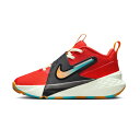 (国内正規品) ナイキ 【 NIKE 】 キッズ バスケットボールシューズ ナイキ チーム ハッスル D 12 2025年春夏MODEL 【 HF6280 TE...