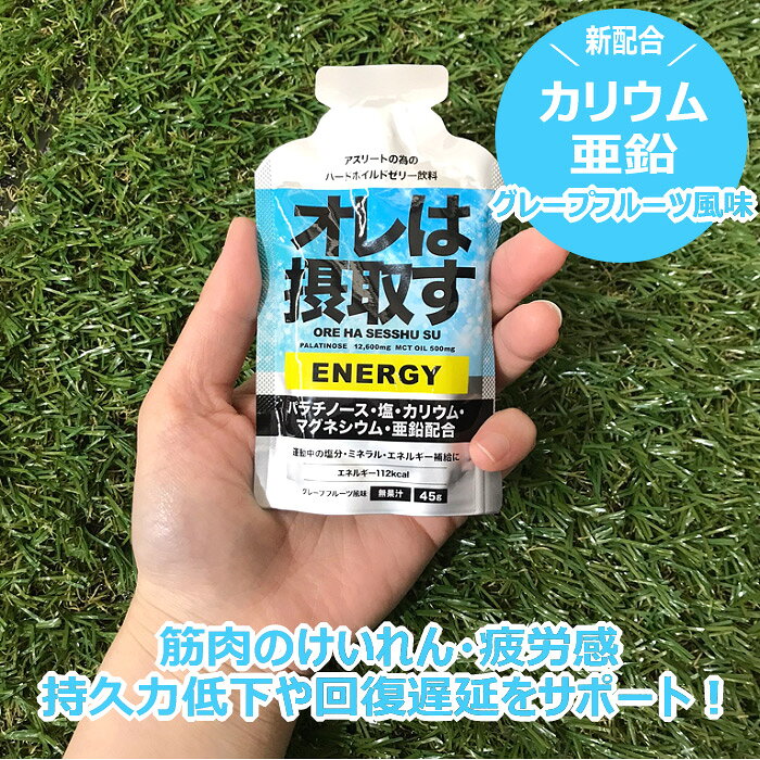 オレは摂取す ENERGY エネルギー グレープフルーツ風味 45g×12個 ゼリー飲料 補食ジェル【俺は摂取す 補食ゼリー マラソン ランニング トライアスロン パラチノース サプリ】【翌日配達対象】【メール便不可】[自社倉庫] us-next-10047510 US-NEXT サンプル画像2