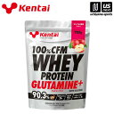 健康体力研究所【KENTAI / ケンタイ 】100%CFMホエイプロテイングルタミンプラス アップル風味 700g【K0223 ホエイプロテイン スポーツサプ...