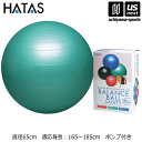 （送料無料）秦運動具【HATAS/秦/ハタ】フィットネス用品 バランスボールセイフティー 65cm 2024年継続MODEL 【 DB65P バランス トレーニング フィットネス 】【あす楽対応 365日出荷】【メール便不可】[物流倉庫]