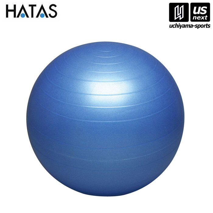 HATAS ư//ϥ ۥХ󥹥ܡ륻եƥ ֥롼 55cmΤΤߡˡDB55 Х󥹥ܡ  ϸ[][...