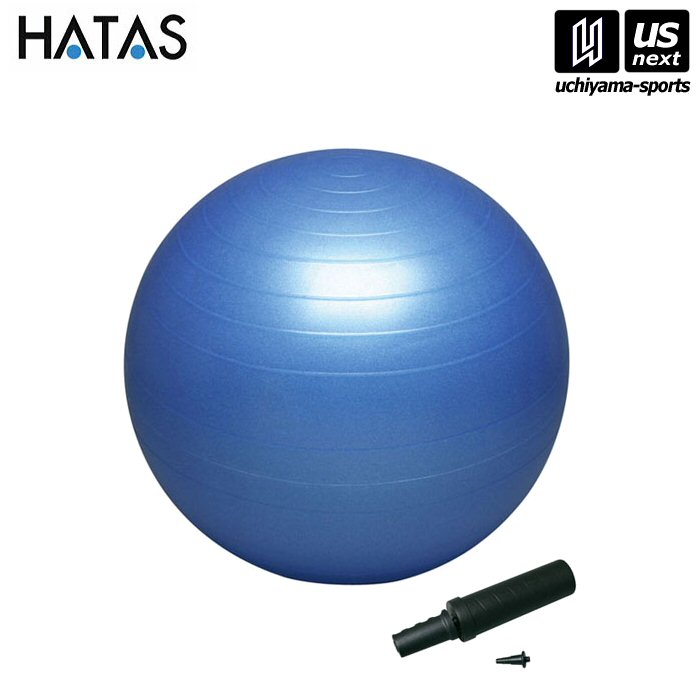 HATAS ư//ϥ ۥХ󥹥ܡ륻եƥ ֥롼 55cmʥݥաˡDB55P Х󥹥ܡ  ϸ[][...