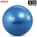 D&M【デイエム】エクササイズボール 直径75cm #SDS-75 2025年継続MODEL【SDS-75 バランスボール ブルー ディーエム】【メール便不可】...
