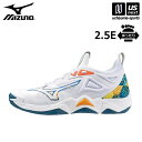 ~Ym   MIZUNO   o[{[V[Y EG[u[^ 3 2024NtĐVF   V1GA2312 EF[u[^ WAVE MOMENTUM fB[X Y zCg     365o  [֕s [q]