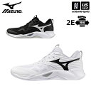 ミズノ 【 MIZUNO 】 バレーボールシューズ ウエーブモーメンタム プロ 2025〜26年秋冬MODEL 【 V1GA2540 ウェーブモーメンタム WA...