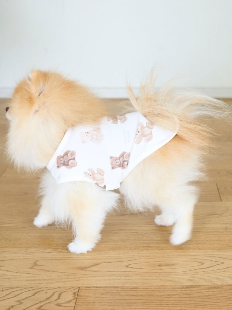 【SALE／30%OFF】【CAT&DOG】ベア柄プルオーバー GELATO PIQUE CAT&DOG ジェラートピケ ペット用品 ペットウェア・ペット服 ホワイト ピンク【RBA_E】【先行予約】*[Rakuten Fashion]