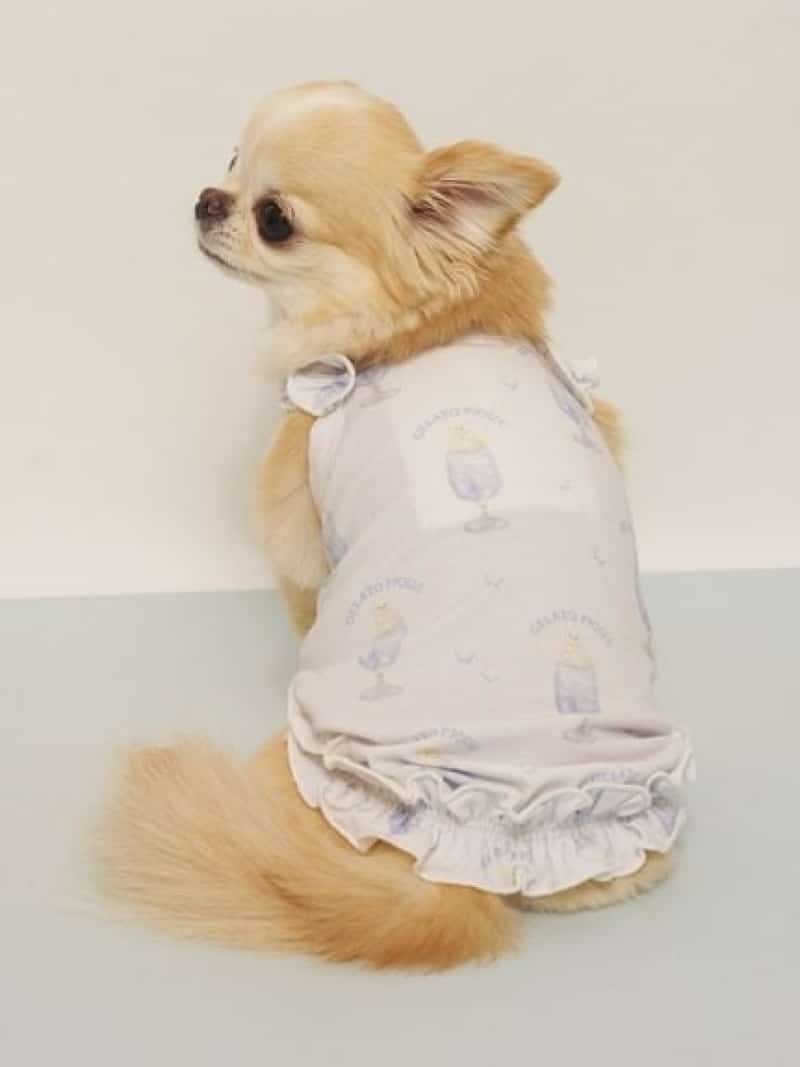 楽天市場】しろくま（ドッグウェア｜犬用品）：ペット・ペットグッズの通販