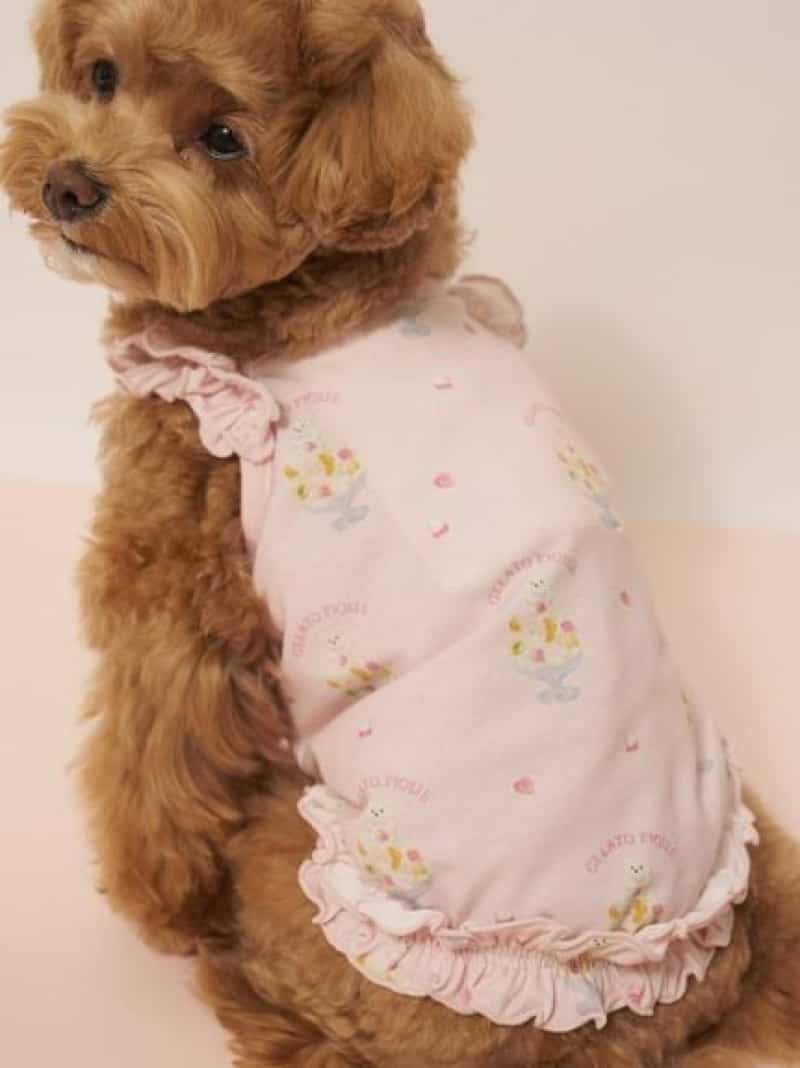 樂天商城 - 【CAT&DOG】【接触冷感】シロクマひんやりスイーツ柄 Coolingフリルプルオーバー GELATO PIQUE CAT&DOG ジェラートピケ ペット用品 ペットウェア・ペット服【送料無料】[Rakuten Fashion]