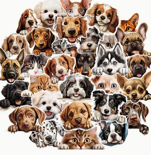 覗き込む猫 犬 ステッカー ノートパソコンや水筒に スマホ ランダム発送