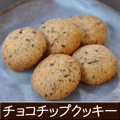 �ۥ磻�ȥǡ������󤻤ˤ�������!�ҤȤĤҤȤļ�����祳���åץ��å����������˥å��ե����ȥ졼�ɥ��祳�졼�����ꥵ�������������å���