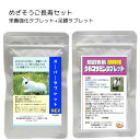 うさぎファンクラブ ご長寿セット(スーパータブレットNEX20g 植物性グルコサミン関節元気タブレット10g)