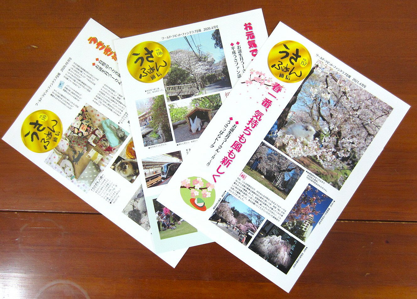 ワールドラビットファンクラブ 会報3冊セット バックナンバー