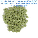 うさぎファンクラブ 緑黄色野菜・ビタミン配合 野菜タブレット6g お試しパック