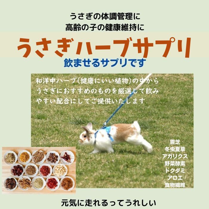 うさぎファンクラブ アガリクス配合サプリメント2g お試し 粉剤 ふりかけ 飲ませるサプリ usagifanclub-10000758 うさぎファンクラブ サンプル画像3
