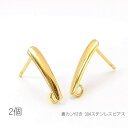 ピアス プレート 304ステンレスピアス 裏カン付き ピアスポスト ピアス金具 2本