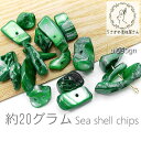 貝 淡水シェル チップ 約4mm〜17mm マリン パーツ 夏 約20グラム/グリーン系