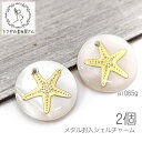 シェルチャーム 16mm ヒトデ 淡水シェル ペンダント メタル封入 横穴ビーズ マリン 夏 2個/ゴールド色