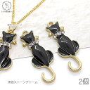 【先着!枚数限定クーポン配布!】【最大2000円OFF】マラソン限定!黒猫 チャーム 24mm 2個 猫チャーム エポチャーム ガラスストーン アニマル ブラッ...
