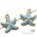 【最大500円OFF】5のつく日限定クーポン!チャーム 14mm 訳アリ ヒトデ マリン スターフィッシュ 夏 カラーチャーム 海のハンドメイドに 2個/ブルー系