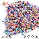 スパンコール 星 極小 2.5mm たっぷり5グラム ネイル レジンに 封入パーツ カラフルミックス ランダムカラー ネイルアート ハンドメイドパーツ うさぎの素材屋さん 宇宙雑貨 極小パーツ