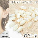 シェル ビーズ トロチッド トロカスシェル 6〜7mm 程度 約20個 オーバルシェル 楕円 マリン 貝 光沢 ビーズ アクセサリー パーツ うさぎの素材屋さん...