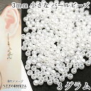 【SS最大半額&2000円OFFクーポン!!】ビーズ ツヤ パールビーズ 極小 3mm アクリル製 パール 艶 3グラム量り売り ホワイト 白系 プラパール 貫...