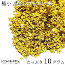 スパンコール 星 極小 2.5mm たっぷり10グラム ネイル レジンに 封入パーツ ゴールド色 オーロラメッキ ネイルアート ハンドメイドパーツ うさぎの素材屋さん 宇宙雑貨 極小パーツ