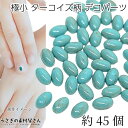 【最大2000円OFF】マラソン限定クーポン!カボション 極小 フェイク ターコイズ柄 樹脂製 デコパーツ 5mm サークル 約45個 クラック柄 ミニ貼り付けパーツ ネイルパーツ うさぎの素材屋さん ハンドメイド パーツ