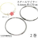 【SS最大半額&2000円OFFクーポン!!】スチールワイヤー 線径 0.6mm メモリーワイヤー 形状記憶 約170cm 2巻セット ロジウム色 ブレスレット...