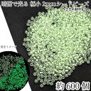 【最大2000円OFF】マラソン限定クーポン!蓄光 シードビーズ 約2mm幅 暗闇で光る 10グラム 約600個 ライトグリーン 薄緑系 極小 ガラスビーズ マクラメビーズ 丸小ビーズ ラウンド うさぎの素材屋さん ハンドメイドパーツ