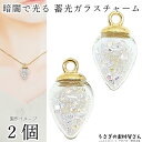 ガラスドーム 蓄光 チャーム キャロット 暗闇で光る 20mm 2個 白 クリア 系 シャカシャカ 特価 蓄光封入材入り ガラスペンダントに アクセサリー パー...
