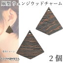 チャーム ウッド 凧型 28mm 2個 木製チャーム ペンダントトップに ウェンジウッド 秋 横穴ビーズ アクセサリーパーツ うさぎの素材屋さん ハンドメイド ...