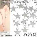 チャーム ステンレス プレート 約8×8.5mm 約20個 ミニスター 小さな メタルチャーム ステンレス色 アクセサリーパーツ うさぎの素材屋さん ハンドメイ...